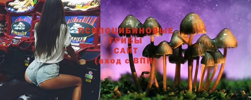 Псилоцибиновые грибы MAGIC MUSHROOMS  MEGA зеркало  Елабуга 